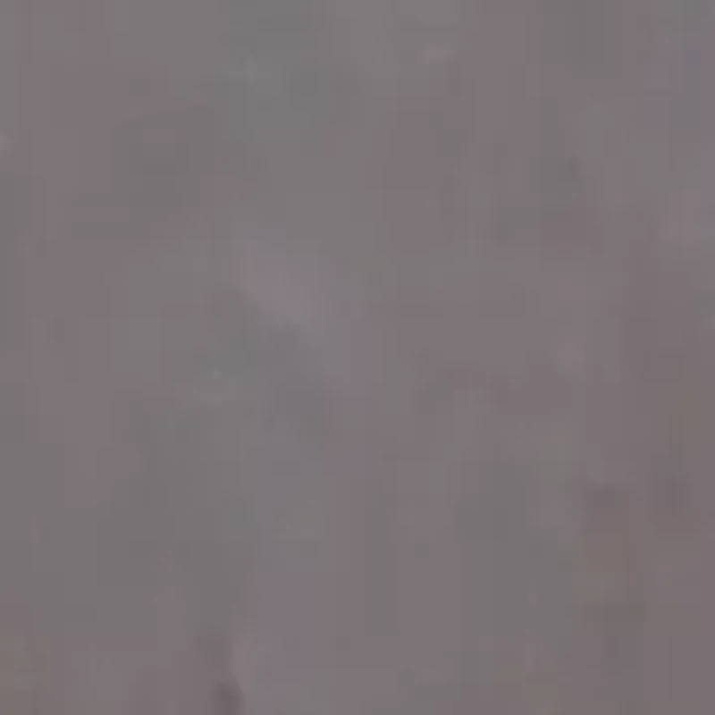 Men's Navigator Shorts