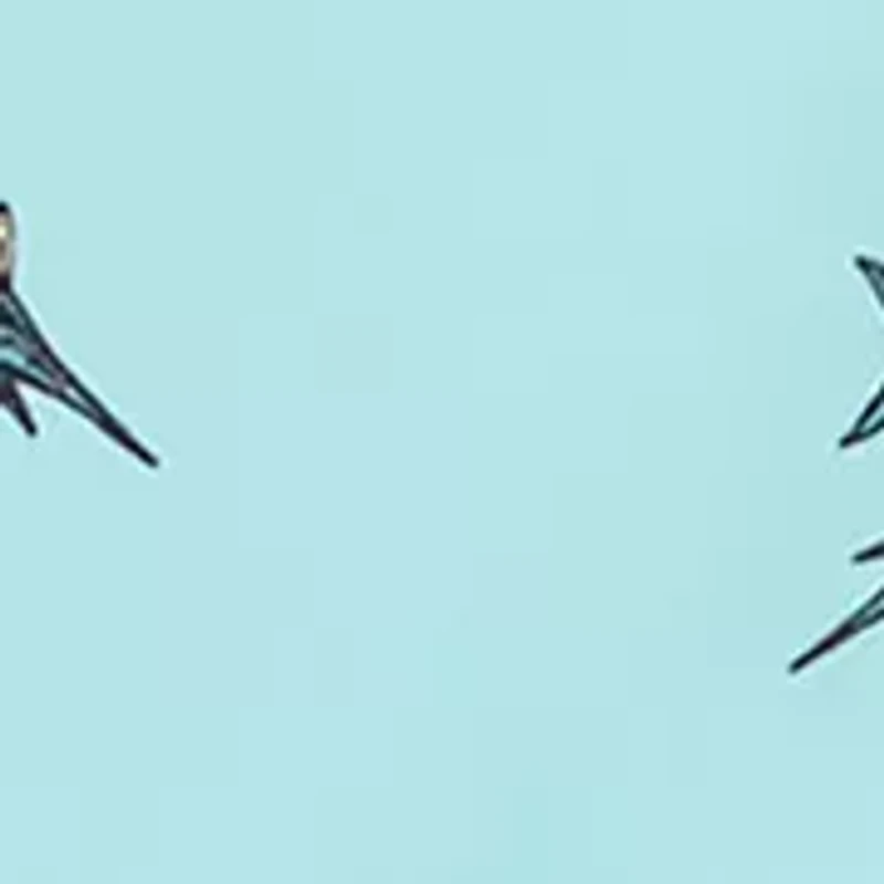 Men’s Sandbar Sunday Allover Printed Shorts