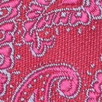 Paisley Tie