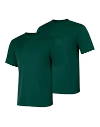 Hanes Sport Cool DRI Men's Performance T-Shirt, Value 2-Pack