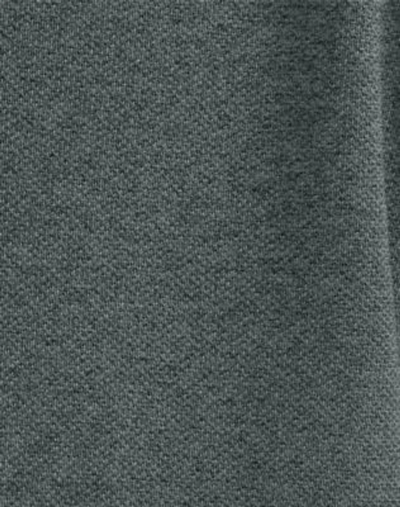 Hanes Men's Pique Polo Shirt (Big & Tall Sizes Available)