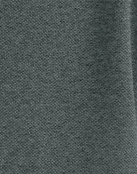 Hanes Men's Pique Polo Shirt (Big & Tall Sizes Available)