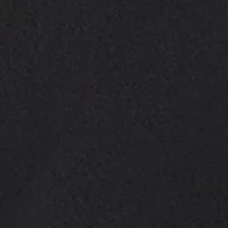 Men's Micro Polar Fleece Vest