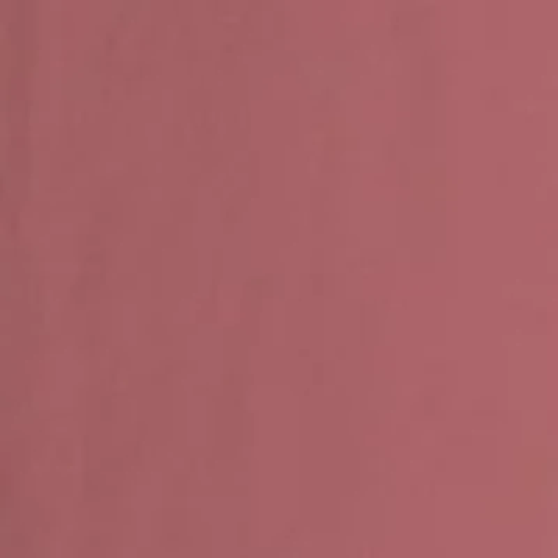 Men's Southern Graphic Shirt