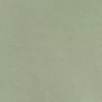 Men's Short Sleeve Americana Deer Graphic T-Shirt