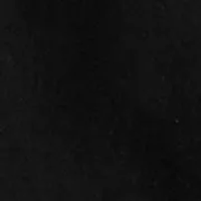 Men's Short Sleeve Graphic Hunting Dog T-Shirt