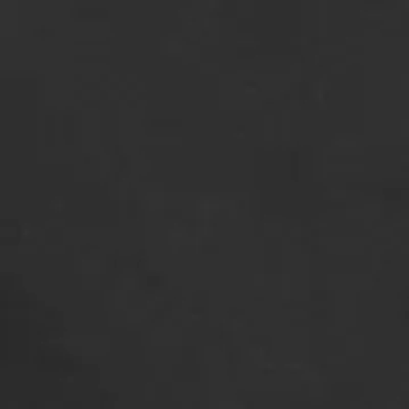 Big & Tall Woven Flow Shorts