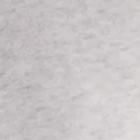 Club Men's Pullover Fleece Hoodie