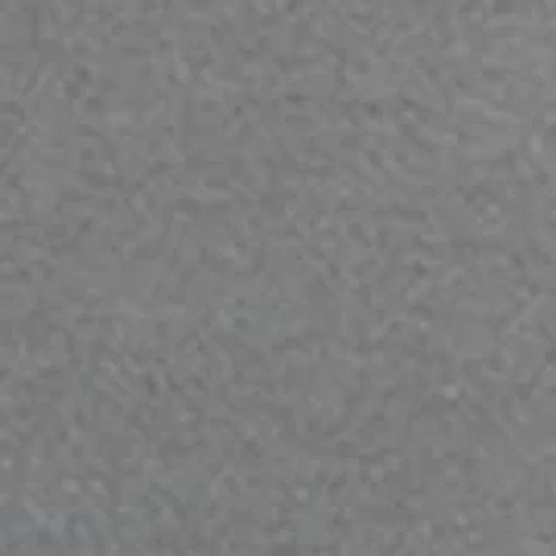 Men's Short Sleeve Marina Graphic T-Shirt