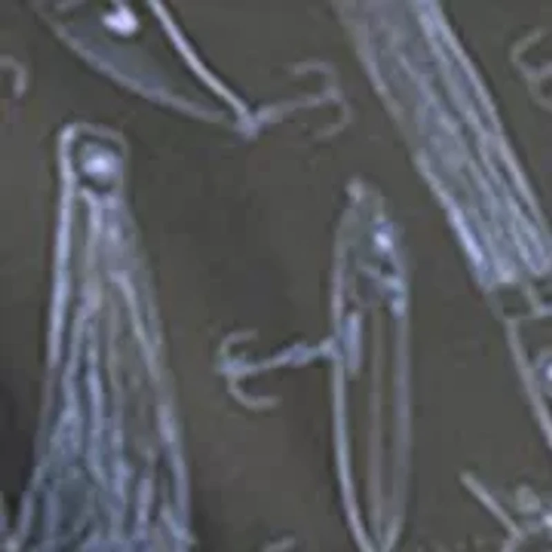 Men's Tide Point Print Shirt