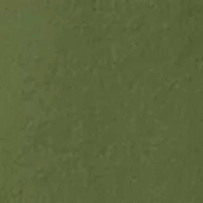 Big & Tall Washed Out™ Shorts