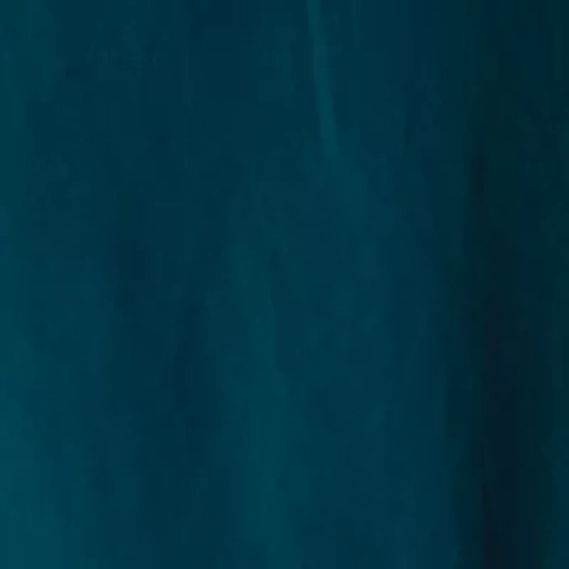 Big & Tall Washed Out™ Shorts