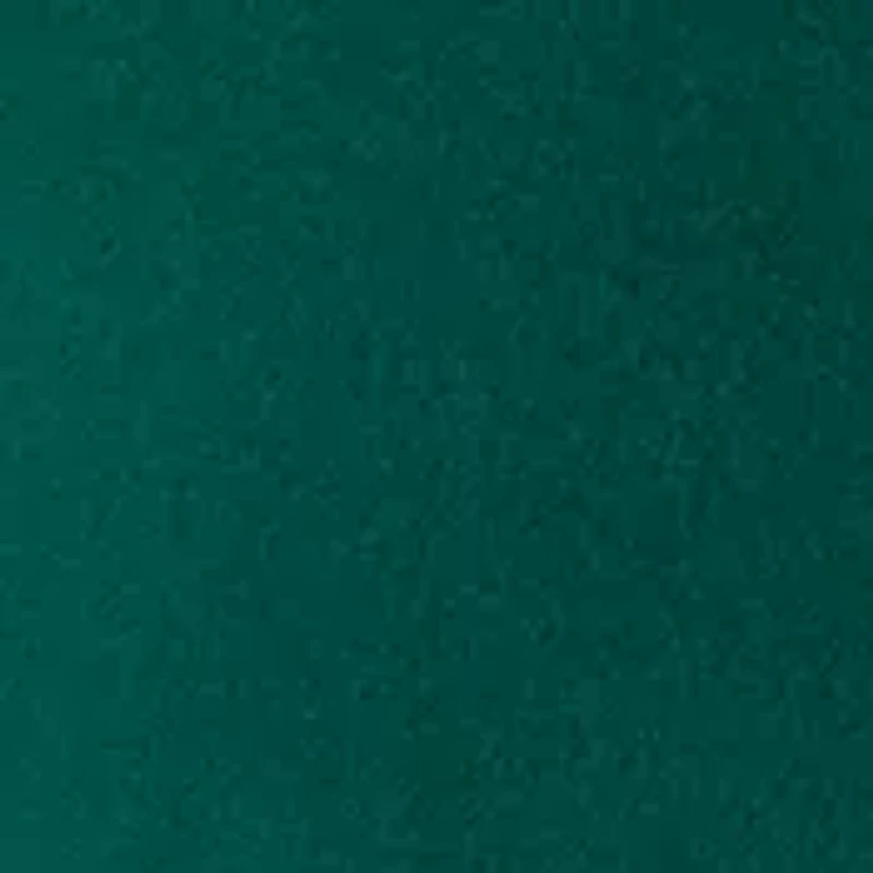 Steens Mountain Vest