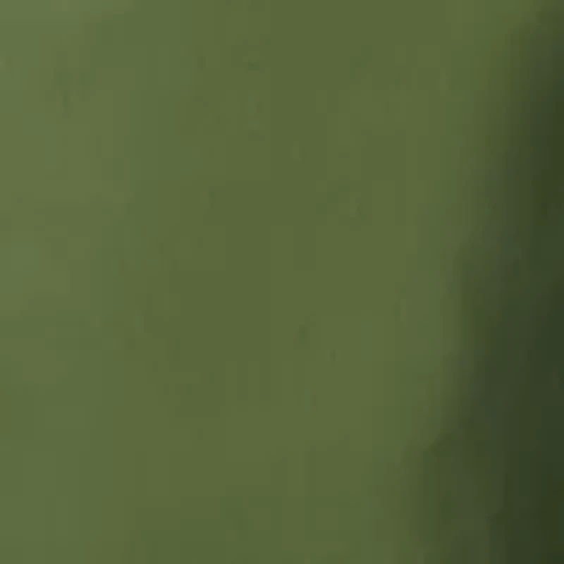 Rapid Rivers Cargo Pants