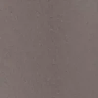 Big & Tall Terminal Roamer™ Stretch Shorts