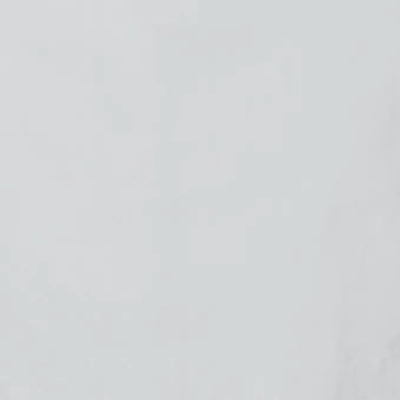 Backcast™ IV Water Shorts