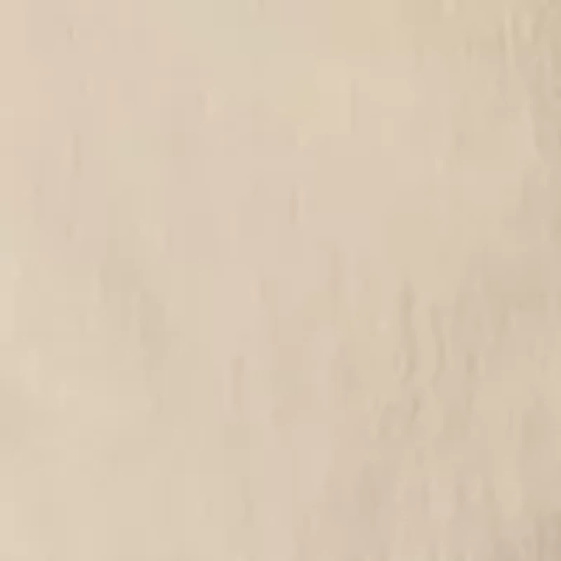 Backcast™ IV Water Shorts