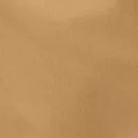 Men's Rapid Rivers™ Cargo Shorts