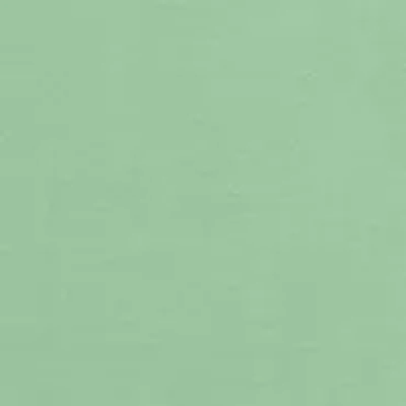 Short Sleeve Conserve Protect Graphic T-Shirt