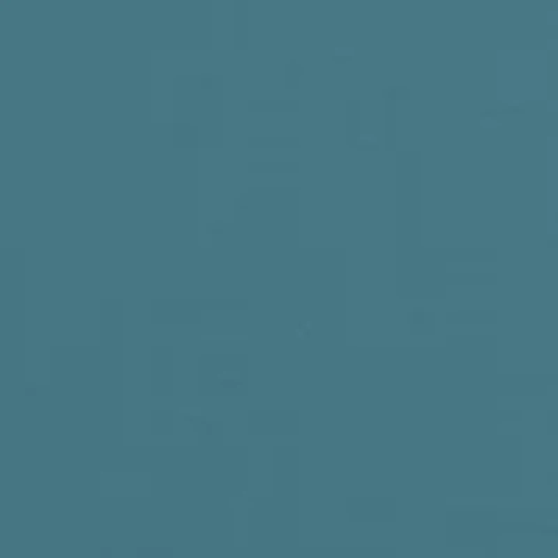 Flag Fetcher Graphic T-Shirt