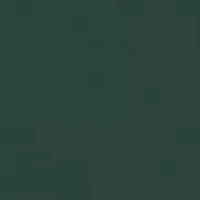 Men's Landings Graphic Long Sleeve