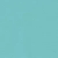 Big & Tall Short Sleeve PFG Graphic T-Shirt