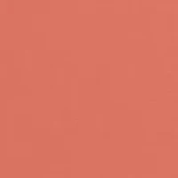 Big & Tall Short Sleeve PFG Graphic T-Shirt