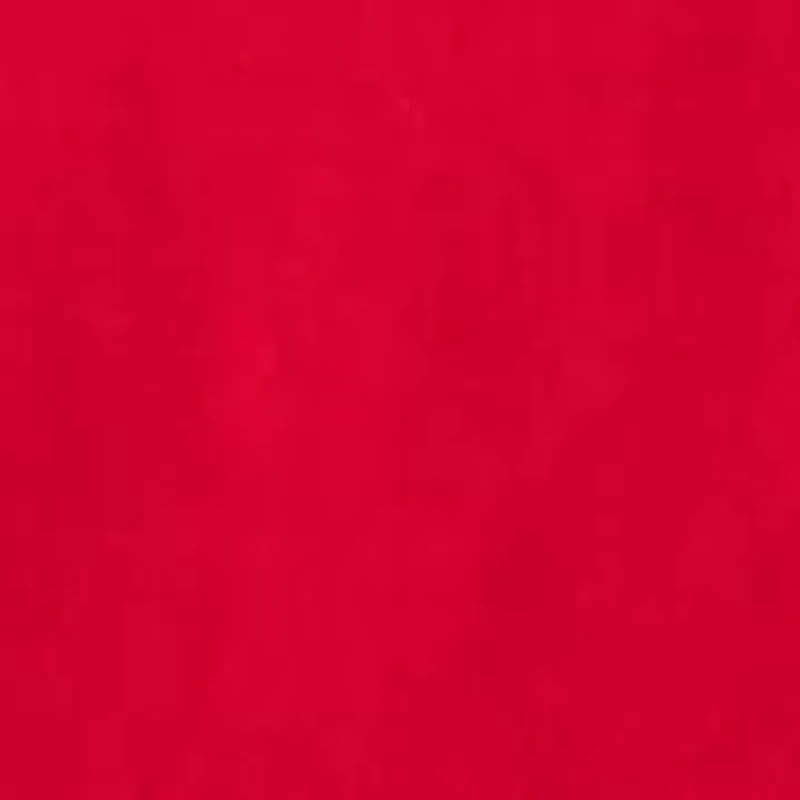 Big & Tall Benji Graphic T-Shirt