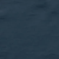 Men's American Mountains Graphic T-Shirt