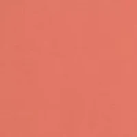 Men's Tarpaulin Graphic T-Shirt