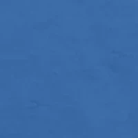 Big & Tall PFG Tarpaulin Graphic T-Shirt