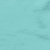 Men's Big PFG Tarpaulin Graphic T-Shirt