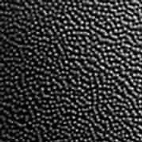 Montel Cross Strap Slide Sandal