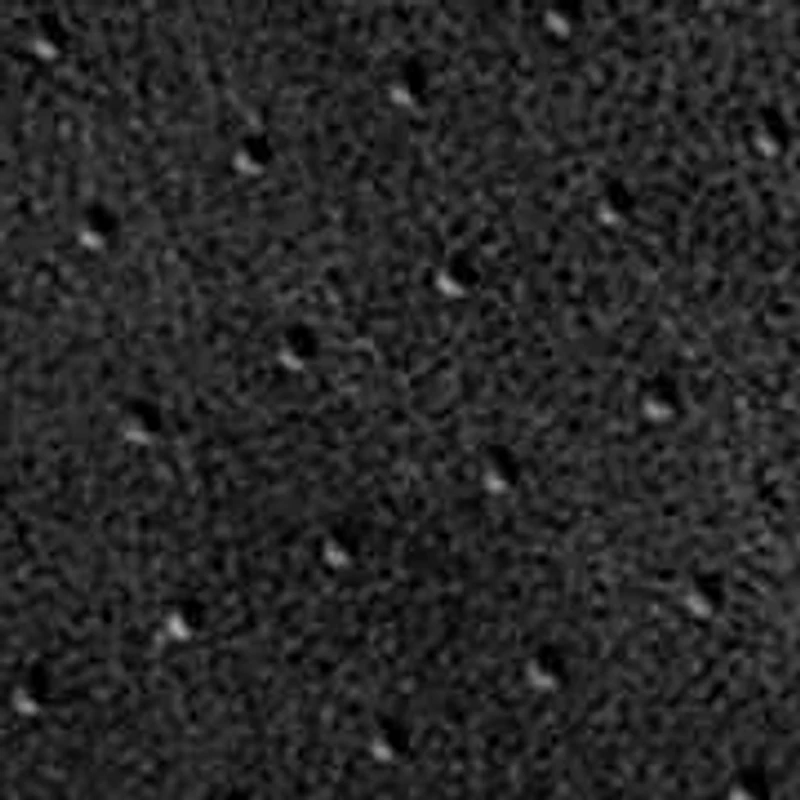 Dorian lace to Toe Sneaker