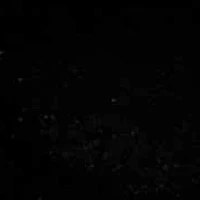 Benson Plain Toe Oxford