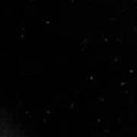 Cassidy Moc Toe Slip On