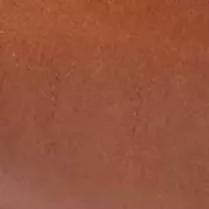 Harmon Grand Bit Loafers