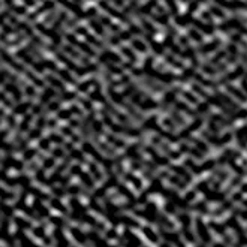 Men's Expected 2.0 Arago Loafers