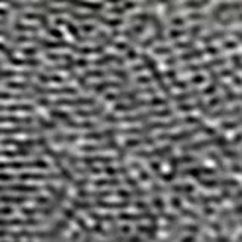 Respected Fallston Loafers