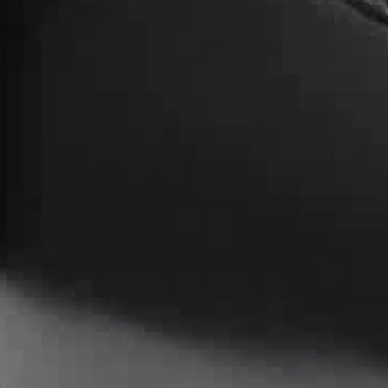 GIBBONS EMBOSSED PENNY LOAFER