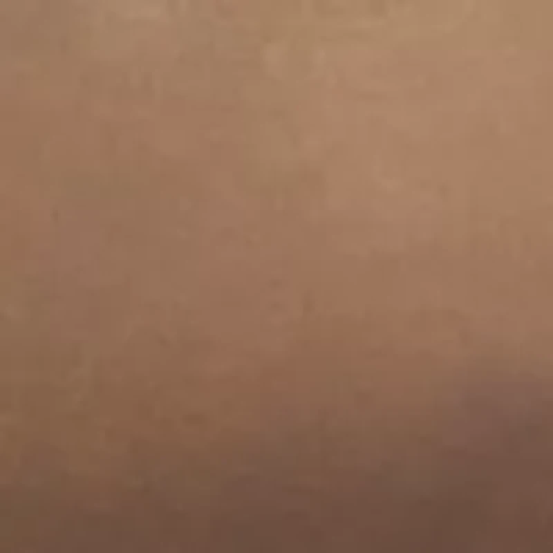 Braxton Plain Toe Oxford Shoes