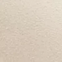 Motor Smooth Moc Toe Penny