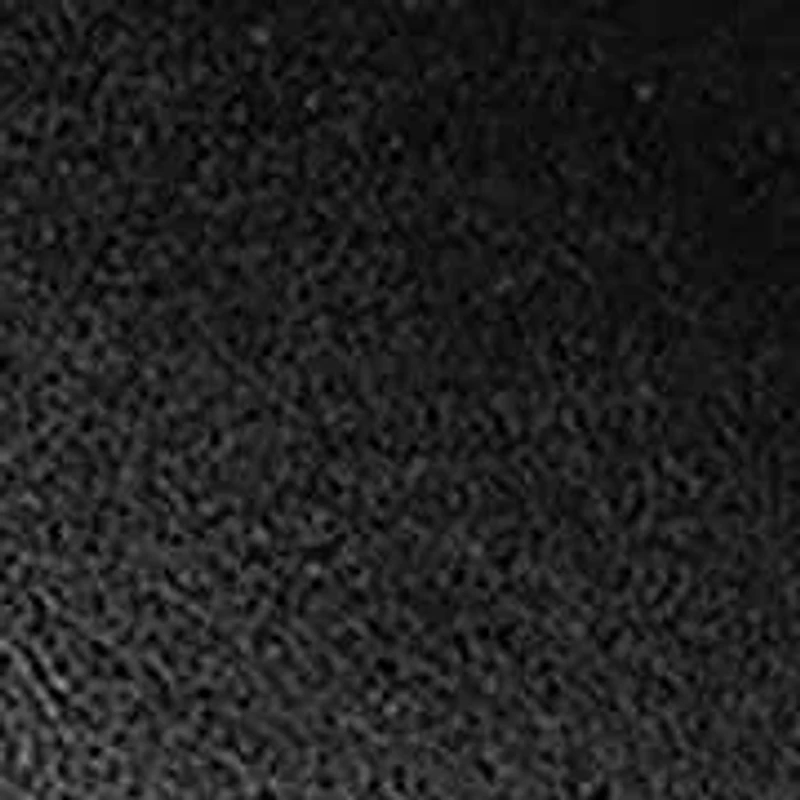 Oslo Moc Toe Penny Loafer