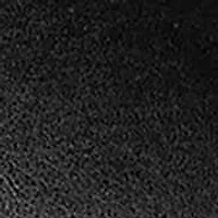 Oslo Moc Toe Penny Loafer