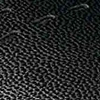 Kore City Rally Moc Toe Lace Sneaker