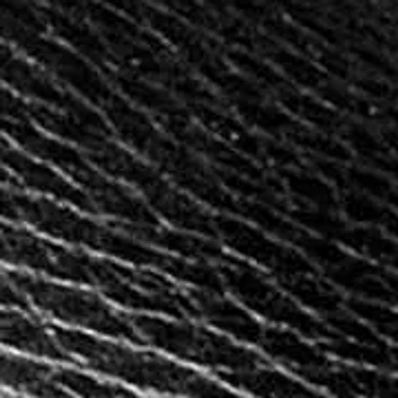 Oslo Moc Toe Venetian