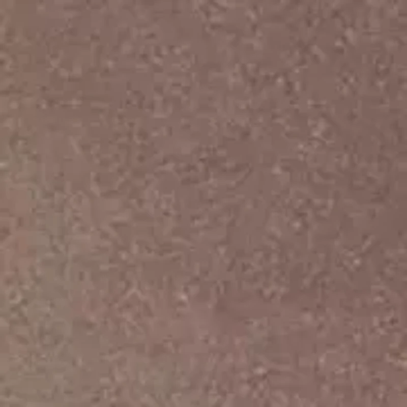 Delton Plain Toe Boot