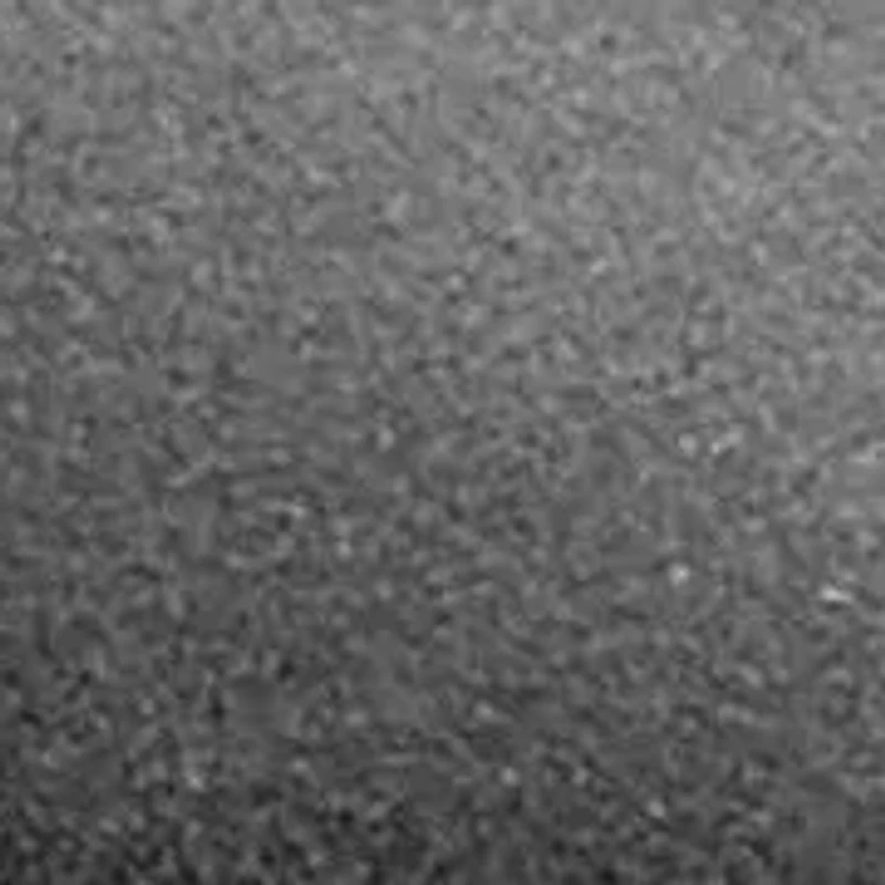 Delton Plain Toe Chelsea