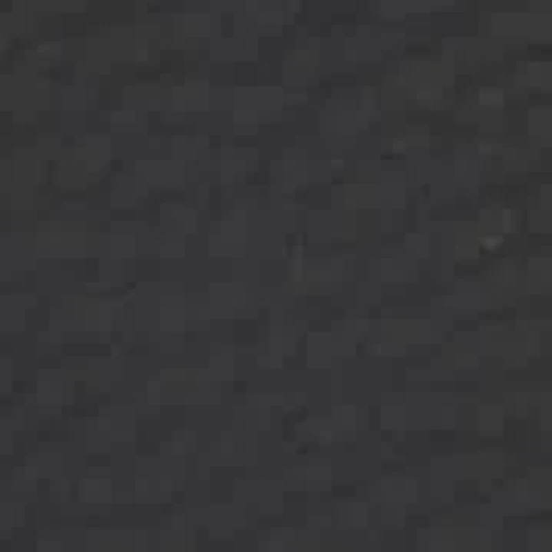 Risabel Low Top Fashion Sneakers