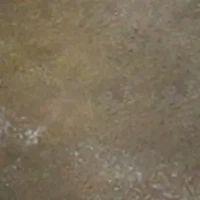 Apple Jay Chelsea Boots